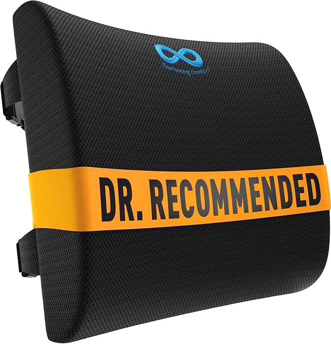 Everlasting Comfort Lumbar Support
